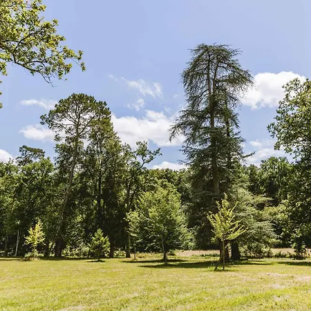 Domaine De Perenard Bergerac