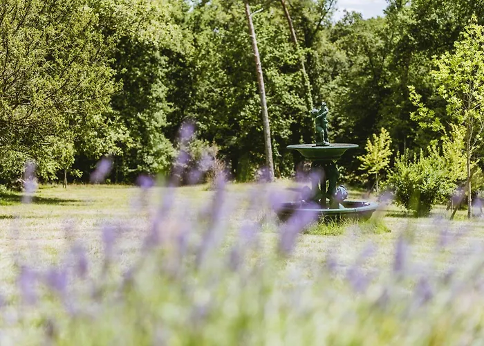 Domaine De Perenard